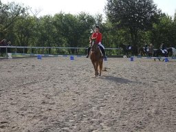 2010 Sommerturnering